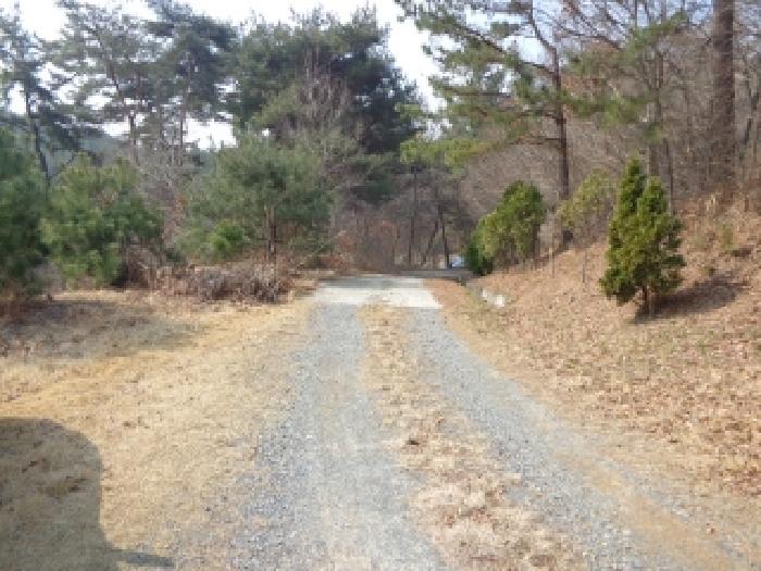 충청남도 태안군 원북면 장대리 560-3 임야 경매 사진 18