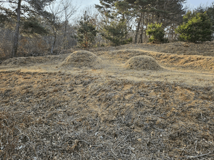 충청남도 태안군 원북면 장대리 560-3 임야 경매 사진 28