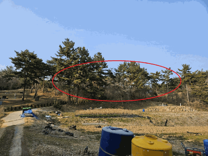 충청남도 태안군 원북면 장대리 560-3 임야 경매 사진 29