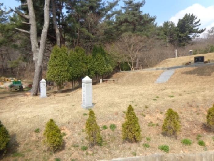 충청남도 태안군 원북면 장대리 560-3 임야 경매 사진 24
