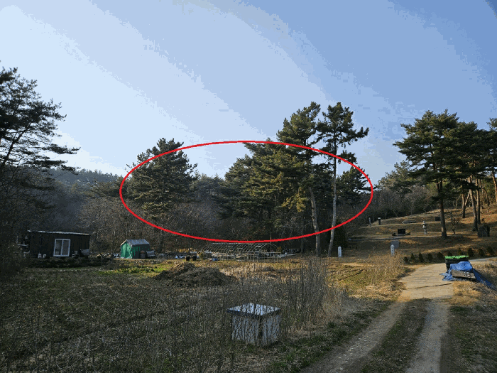 충청남도 태안군 원북면 장대리 560-3 임야 경매 사진 26