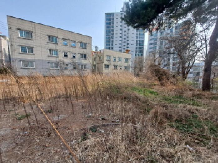 충청남도 당진시 읍내동 286-28 외 1필지 임야 경매 사진 2