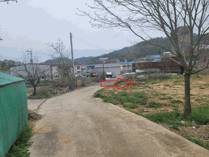 경상북도 칠곡군 약목면 관호리 320 전 경매 사진 14