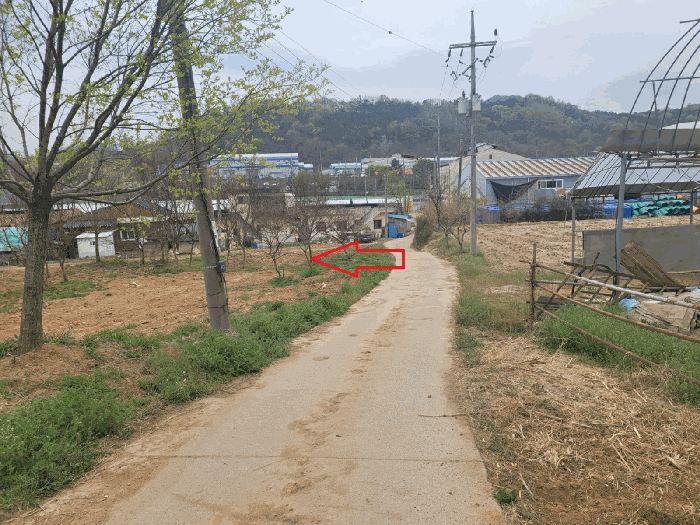 경상북도 칠곡군 약목면 관호리 320 전 경매 사진 16