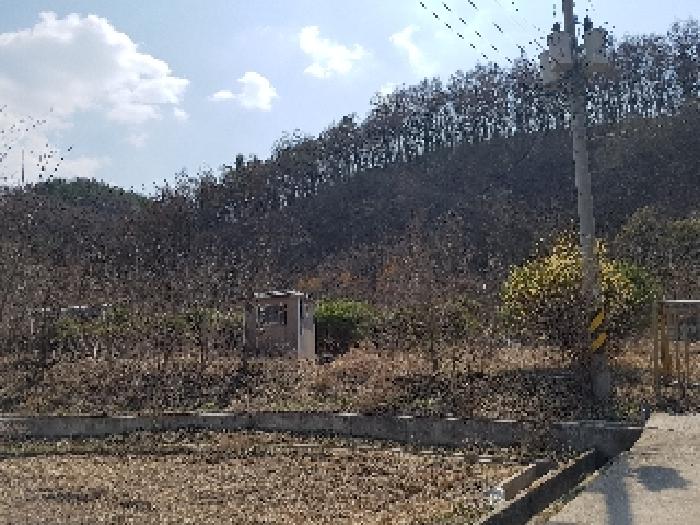 경상북도 의성군 금성면 청로리 465 외 1필지 전 경매 사진 2