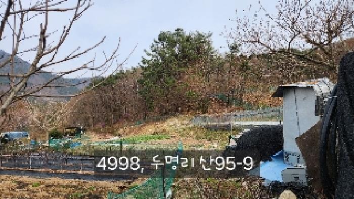 부산광역시 기장군 정관읍 두명리 산95-9 임야 경매 사진 60
