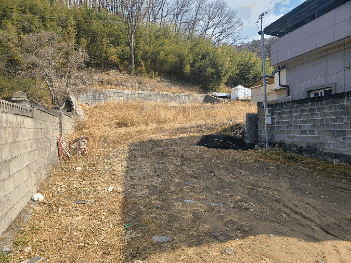울산광역시 울주군 언양읍 반송리 823-1 외 1필지 대지 경매 사진 3