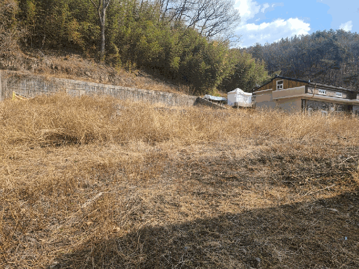 울산광역시 울주군 언양읍 반송리 823-1 외 1필지 대지 경매 사진 5