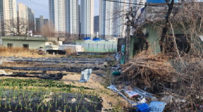 경상남도 양산시 평산동 257-22 답 경매 사진 12