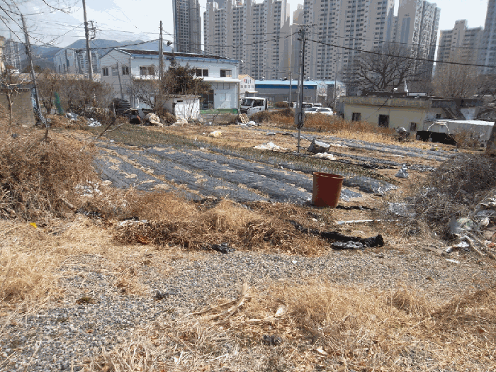 경상남도 양산시 평산동 257-22 답 경매 사진 17