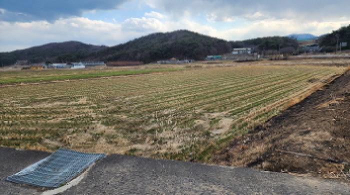 울산광역시 울주군 두서면 차리 749-2 답 경매 사진 8