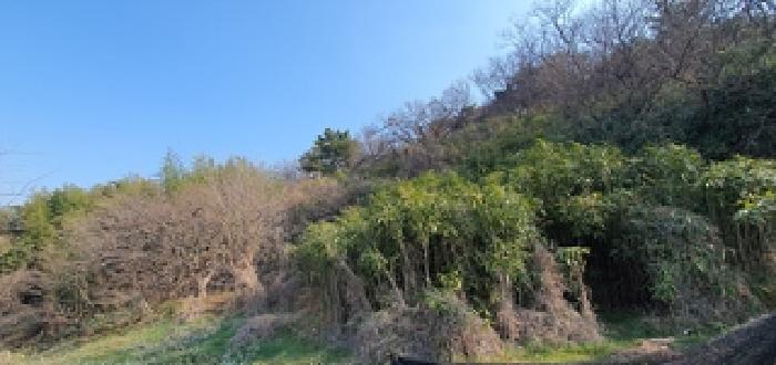 경상남도 김해시 진례면 고모리 416 외 4필지 전 경매 사진 5