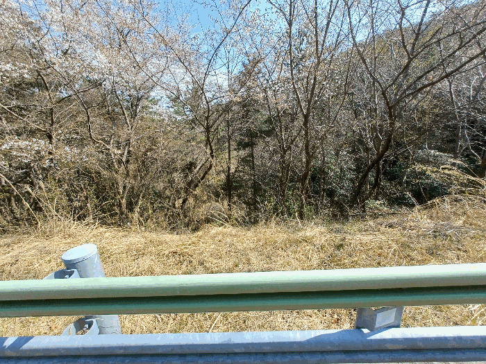 경상남도 남해군 상주면 상주리 2066 답 경매 사진 2