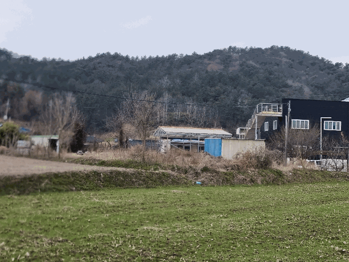 전라남도 나주시 봉황면 운곡리 175 외 2필지 답 경매 사진 9
