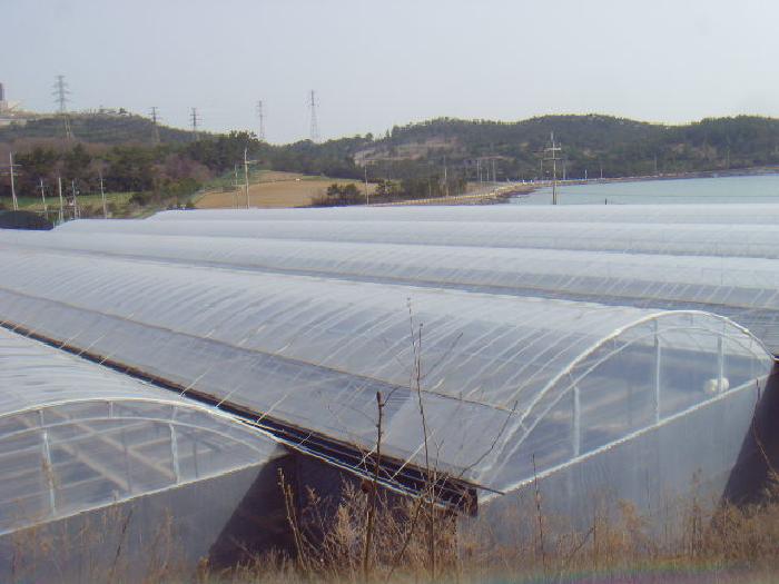 전라남도 진도군 군내면 둔전리 19-15 외 4필지 동물및식물관련시설 경매 사진 2