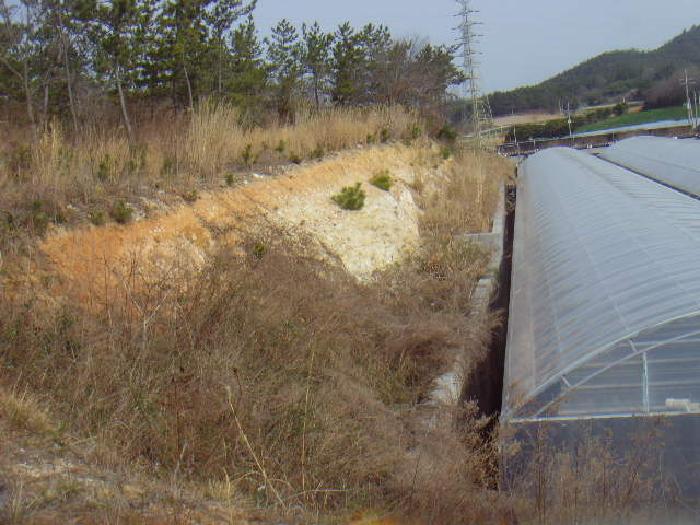 전라남도 진도군 군내면 둔전리 19-15 외 4필지 동물및식물관련시설 경매 사진 4