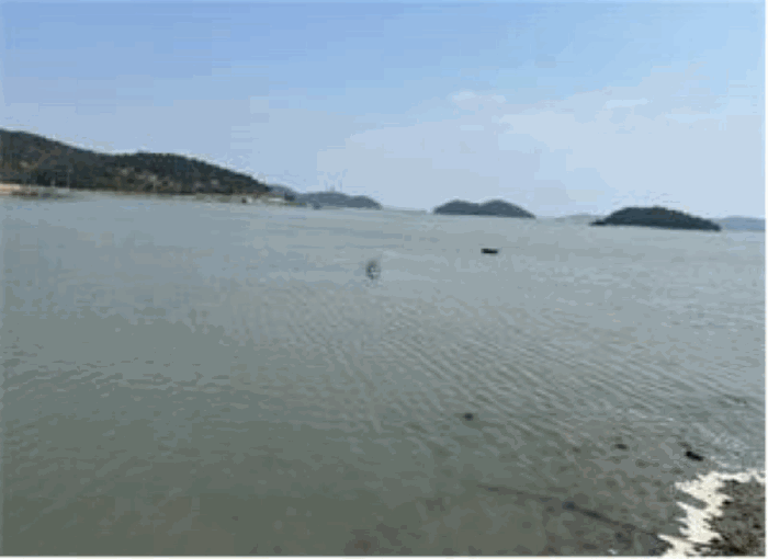 전라남도 진도군 군내면 둔전리 19-15 외 4필지 동물및식물관련시설 경매 사진 36