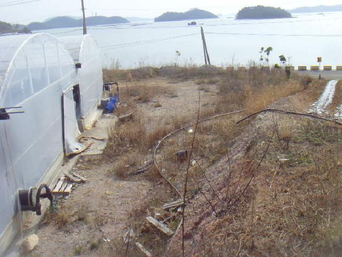 전라남도 진도군 군내면 둔전리 19-15 외 4필지 동물및식물관련시설 경매 사진 5