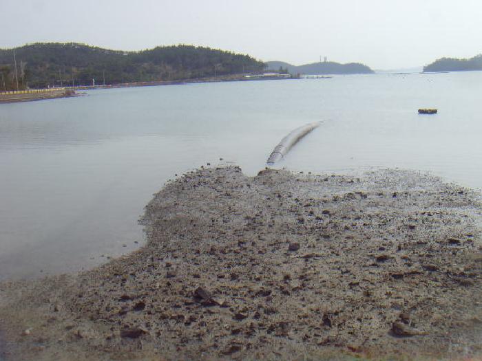전라남도 진도군 군내면 둔전리 19-15 외 4필지 동물및식물관련시설 경매 사진 10