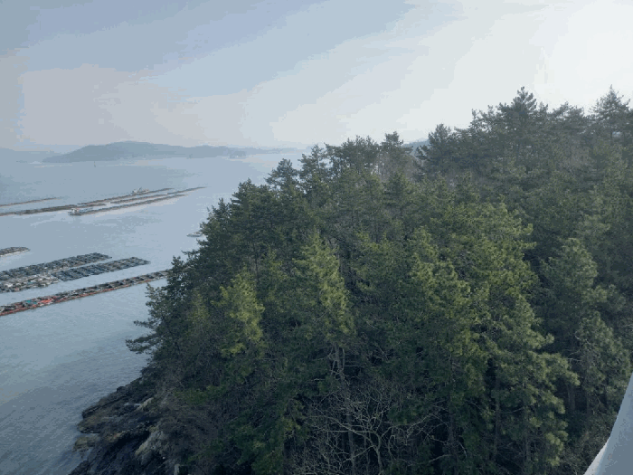 전라남도 완도군 신지면 송곡리 747-3 전 경매 사진 3
