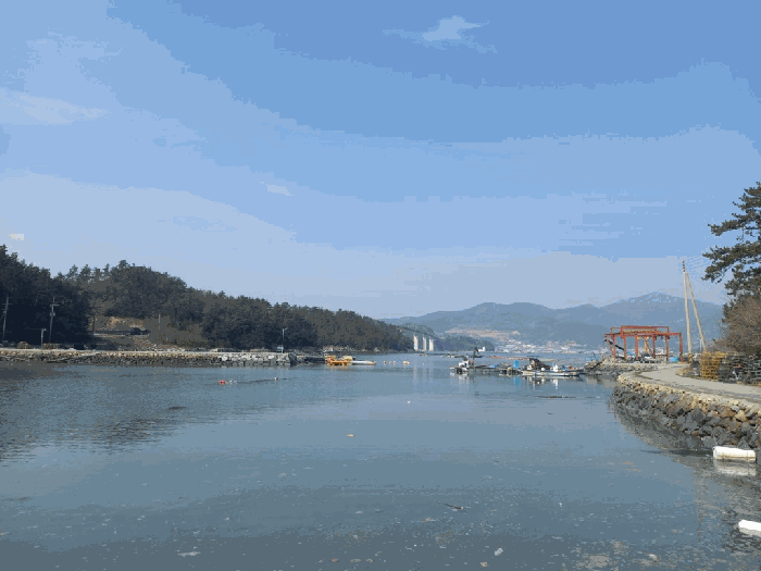 전라남도 완도군 신지면 송곡리 747-3 전 경매 사진 4