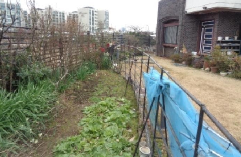 제주특별자치도 제주시 외도일동 2092-5 외 3필지 단독주택 경매 사진 25