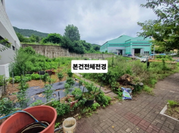 부산광역시 강서구 미음동 1527-8 대지 경매 사진 14