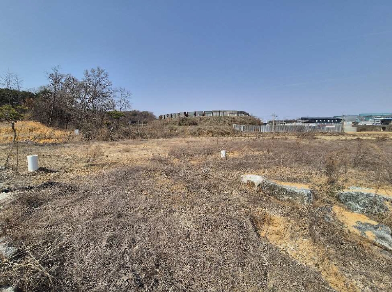 충청북도 진천군 진천읍 장관리 225-6 외 37필지 전 경매 사진 2