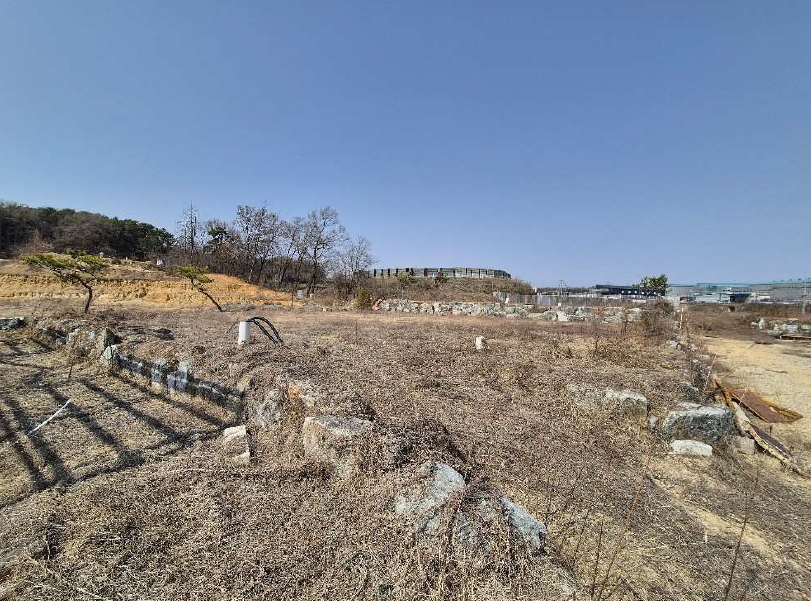 충청북도 진천군 진천읍 장관리 225-6 외 37필지 전 경매 사진 13