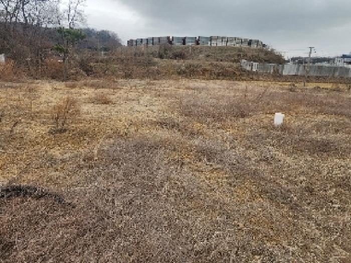 충청북도 진천군 진천읍 장관리 225-6 외 37필지 전 경매 사진 21