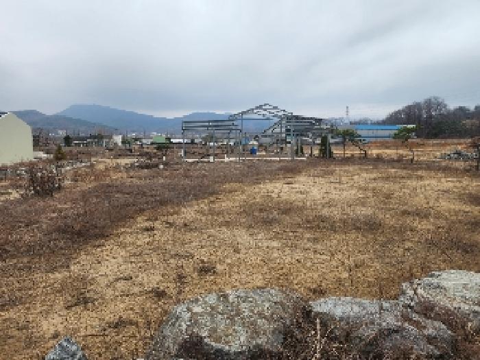 충청북도 진천군 진천읍 장관리 225-6 외 37필지 전 경매 사진 28