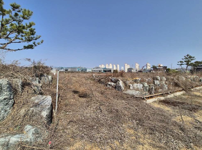 충청북도 진천군 진천읍 장관리 225-6 외 37필지 전 경매 사진 5