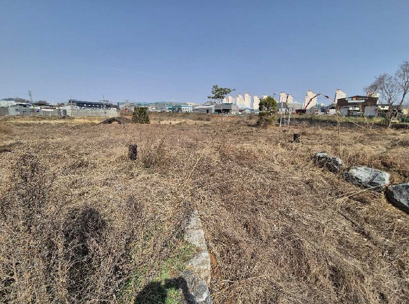 충청북도 진천군 진천읍 장관리 225-6 외 37필지 전 경매 사진 6