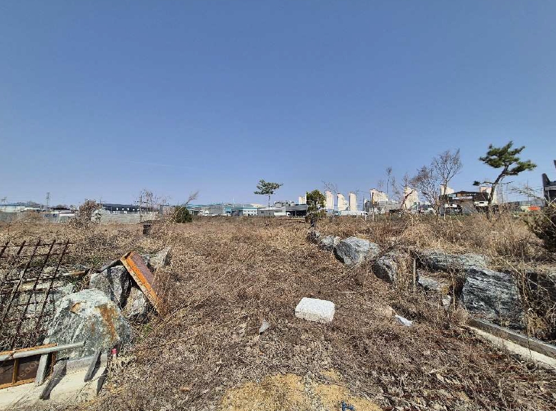 충청북도 진천군 진천읍 장관리 225-6 외 37필지 전 경매 사진 7