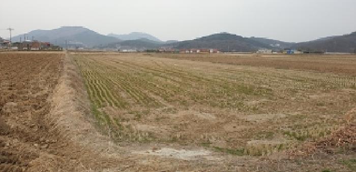 충청남도 예산군 덕산면 복당리 161-1 답 경매 사진 1