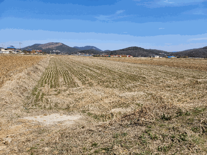 충청남도 예산군 덕산면 복당리 161-1 답 경매 사진 2