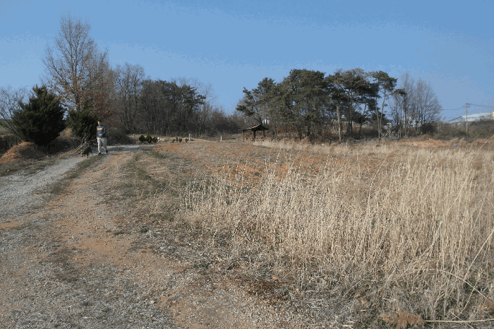 충청남도 논산시 연무읍 동산리 212-1 전 경매 사진 22