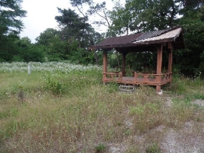 충청남도 논산시 연무읍 동산리 212-1 전 경매 사진 14