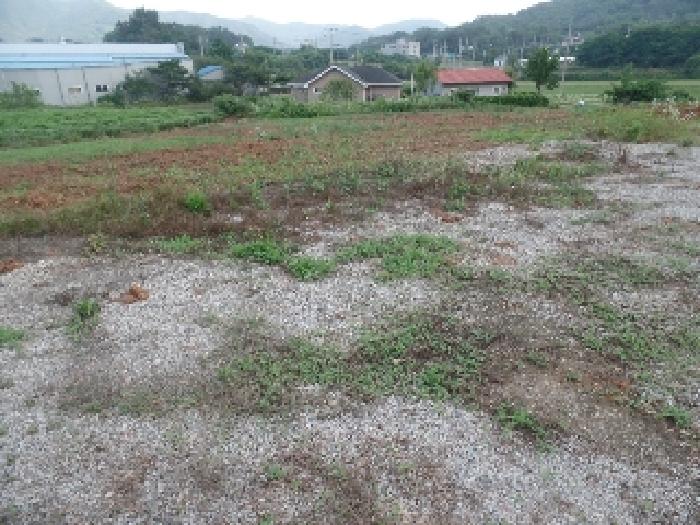 충청남도 논산시 연무읍 동산리 212-1 전 경매 사진 16