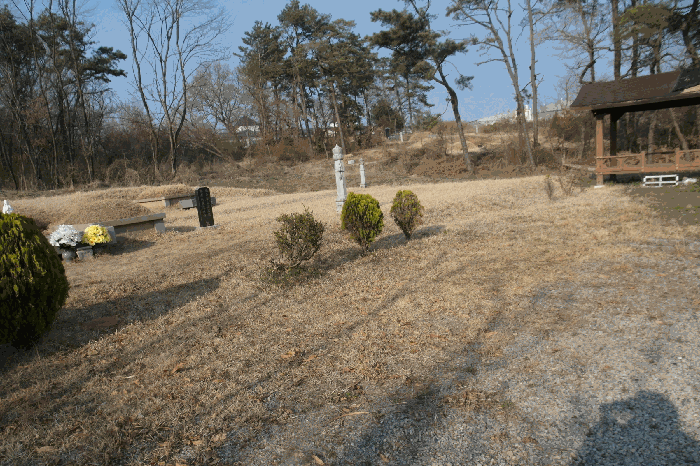 충청남도 논산시 연무읍 동산리 212-1 전 경매 사진 20