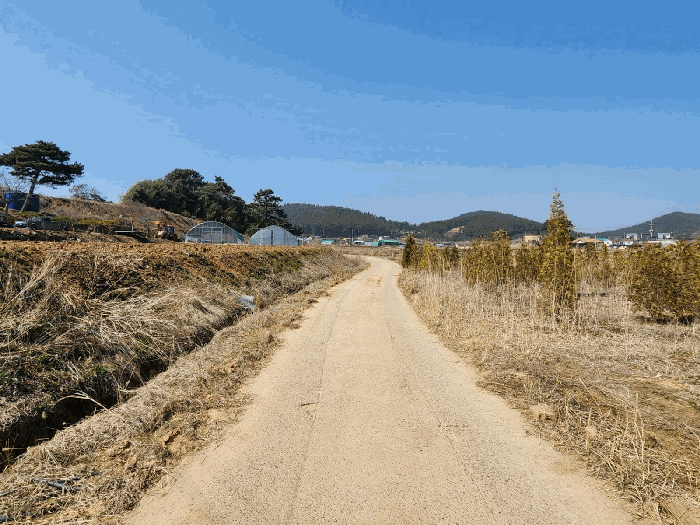 충청남도 태안군 소원면 시목리 474-4 전 경매 사진 14