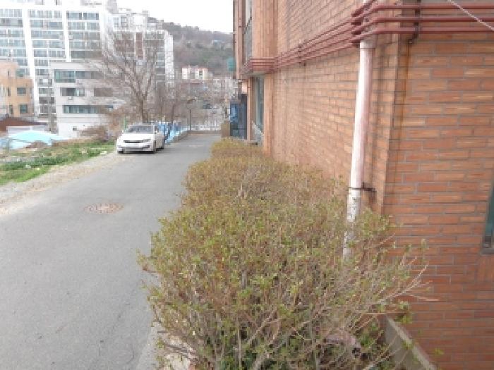 충청남도 서산시 동문동 470-7 1층102호 다세대(빌라) 경매 사진 27