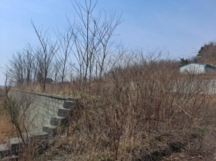 충청남도 당진시 순성면 아찬리 201-7 외 18필지 창고시설 경매 사진 22