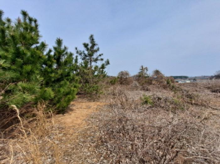 충청남도 당진시 순성면 아찬리 201-7 외 18필지 창고시설 경매 사진 36