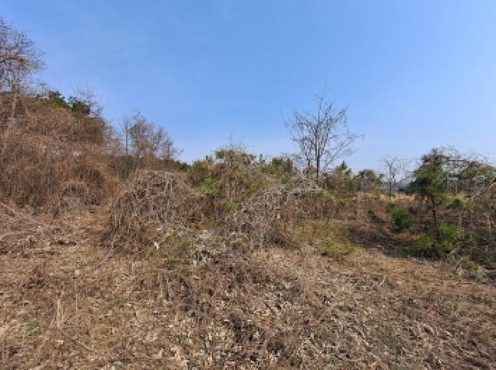 충청남도 당진시 순성면 아찬리 201-7 외 18필지 창고시설 경매 사진 41