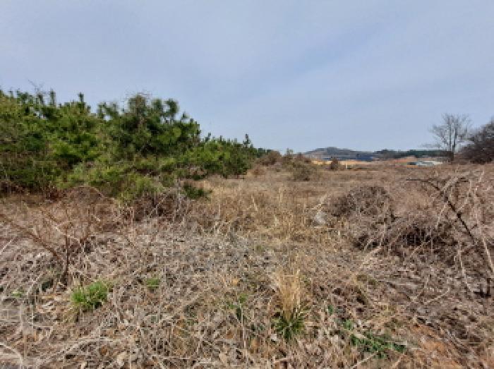 충청남도 당진시 순성면 아찬리 201-7 외 18필지 창고시설 경매 사진 44