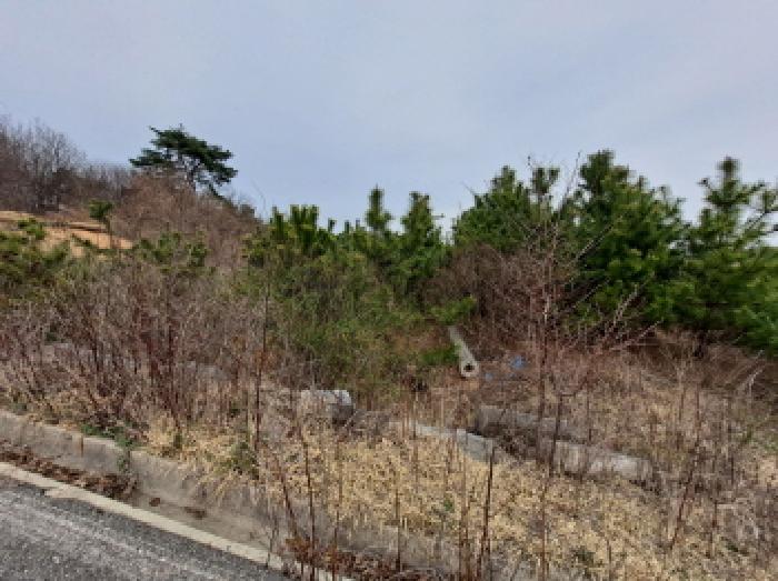충청남도 당진시 순성면 아찬리 201-7 외 18필지 창고시설 경매 사진 45