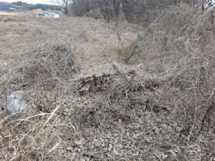 충청남도 당진시 순성면 아찬리 201-7 외 18필지 창고시설 경매 사진 59