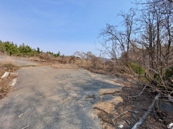 충청남도 당진시 순성면 아찬리 201-7 외 18필지 창고시설 경매 사진 61