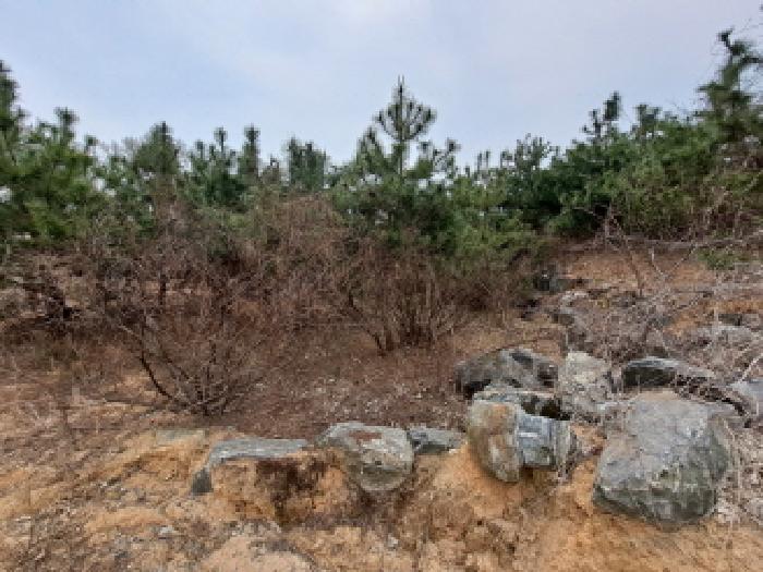충청남도 당진시 순성면 아찬리 201-7 외 18필지 창고시설 경매 사진 70